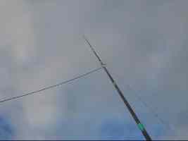 Picture of vertical dipole good for DX